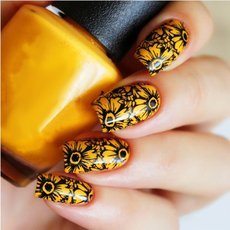 BP-L029 Flower Theme Nail Art Stamp Template Image Plate Rctangular Stamping PLates BORN PRETTY 12 x 6cm